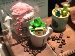 -星巴克臻选(扬州瘦西湖文化广场店)