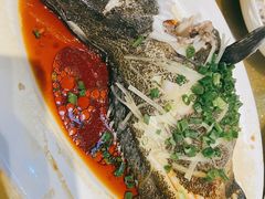石斑-老字号蛇口德记烧腊饭店·海鲜加工