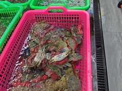 -众味海鲜大排档·活海鲜·潮汕味(南澳店)