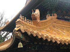 -普陀山风景名胜区-法雨禅寺