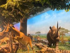 -国家自然博物馆