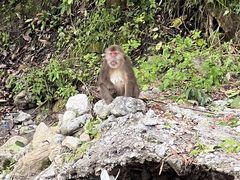 -西岭雪山大飞水景区