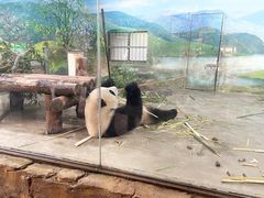 -上海野生动物园