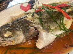 清蒸海鲈鱼-潮汕铺老店(甜水井店)