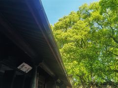 -天一阁博物院