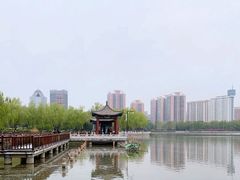 -莲花池公园