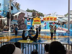 -海合安成都极地海洋公园