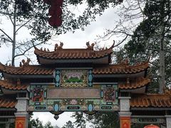 -广州市流溪河国家森林公园