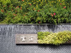 -云溪植物园