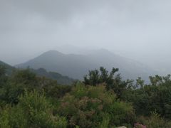 -阳台山自然风景区