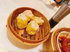 -金鼎轩(方庄店)