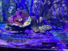 -太平洋海底世界