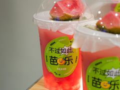 -伏小桃(明瓦廊店)