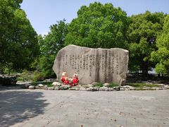 -溱湖国家湿地公园