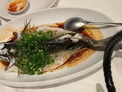 -东方御宴海鲜酒楼(棕泉酒店)