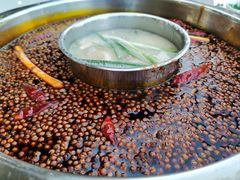 -枇杷园食为鲜火锅(南山店)