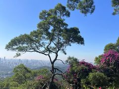 -广州市白云山风景名胜区