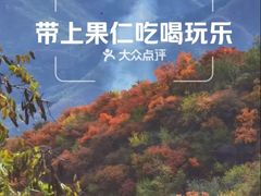 -北京鹫峰国家森林公园