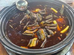 -金海椒罐罐鲢鱼(东方桂苑店)