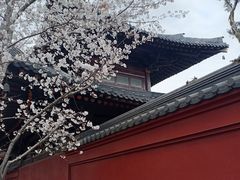 -广富林郊野公园