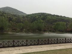 -石塘人家
