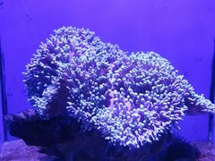 -青岛海底世界-水族馆