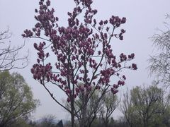 -西山漾湿地公园