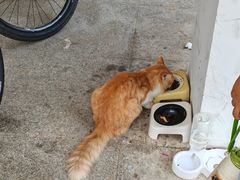 -山东大学(威海校区)