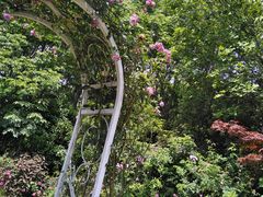 -昆山城市生态森林公园