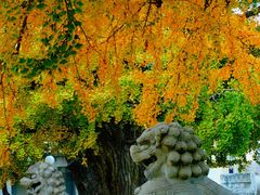 -北京石刻艺术博物馆(五塔寺)