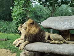 -北京野生动物园
