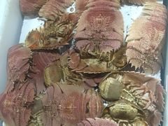 -濠江渔港酒楼(湾仔海鲜街，会展中心店)