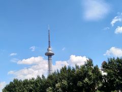 -龙塔