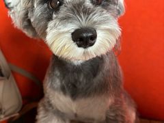 -Lets burger非常汉堡·环球风味(蓝色港湾店)