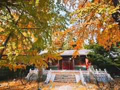 -潭柘寺景区