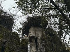 -山王坪喀斯特国家生态公园