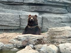 -北京野生动物园