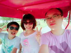 -上海长兴岛郊野公园