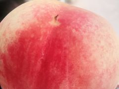 -南汇新场正宗水蜜桃采摘