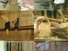 -郑州市动物园