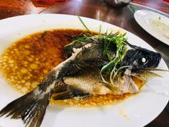 红斑鱼-岛中岛·海鲜大排档·万宁老字号(东澳店)