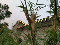 -香山湖公园