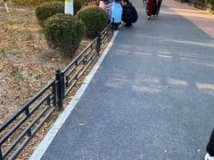 -大兴滨河森林公园