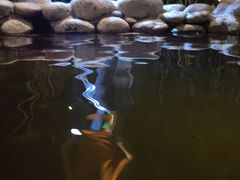 -融汇温泉