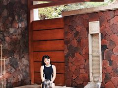 -东海森林温泉度假酒店