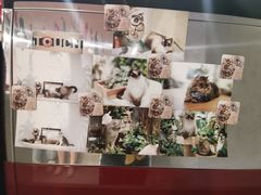 -猫儿山۰猫主题餐厅