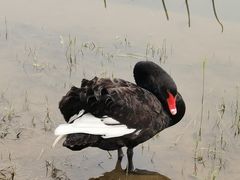 -天津东丽湖风景区