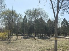 -绿堤公园