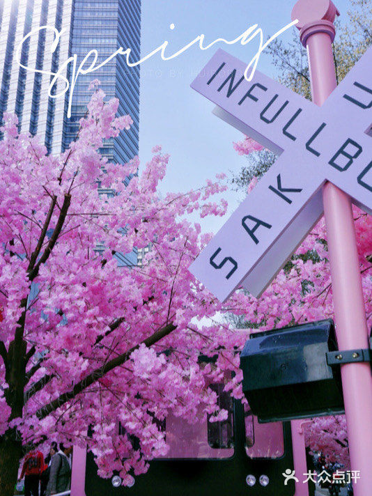 春日踏青攻略🌸｜金陵的“粉色樱花季”在金茂汇延续着…