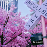 春日踏青攻略🌸｜金陵的“粉色樱花季”在金茂汇延续着…